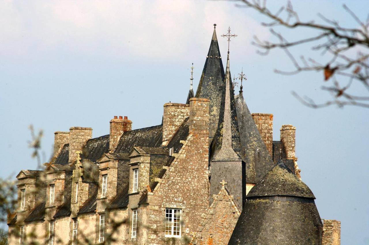 Chateau De Bourgon Montourtier Exterior foto